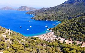 Ceylanhouse-3